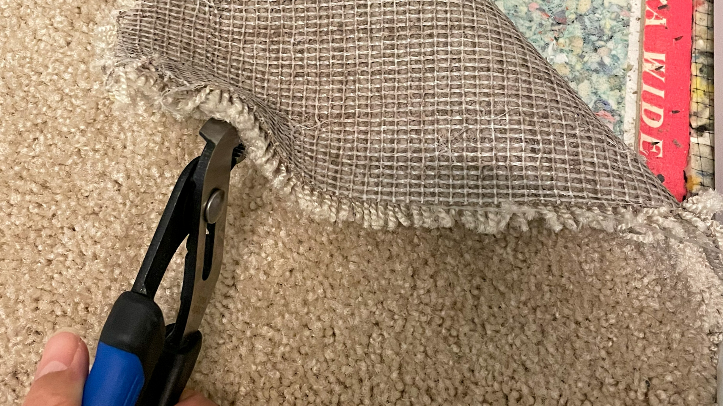 Water Mitigation - Carpet Delamination