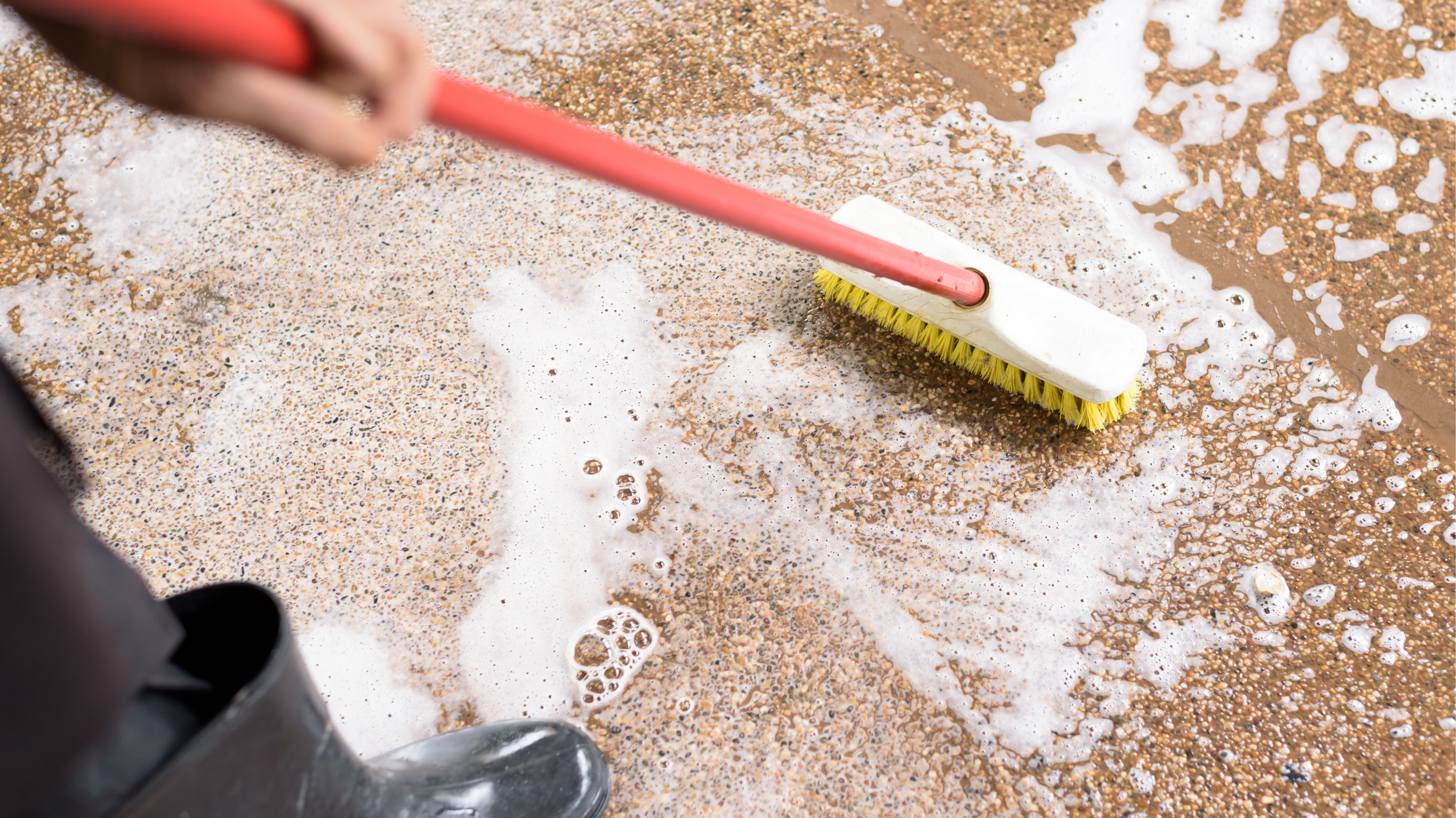 Water Mitigation - Water Contamination & Cleaning