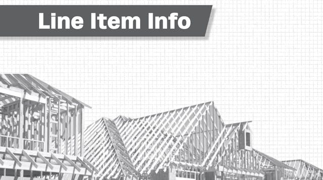 Line Item Info