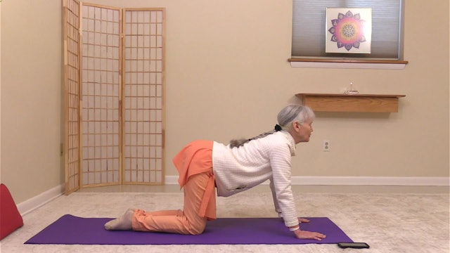 Foundations of IY Therapy - Low Back with Swami Vidyananda