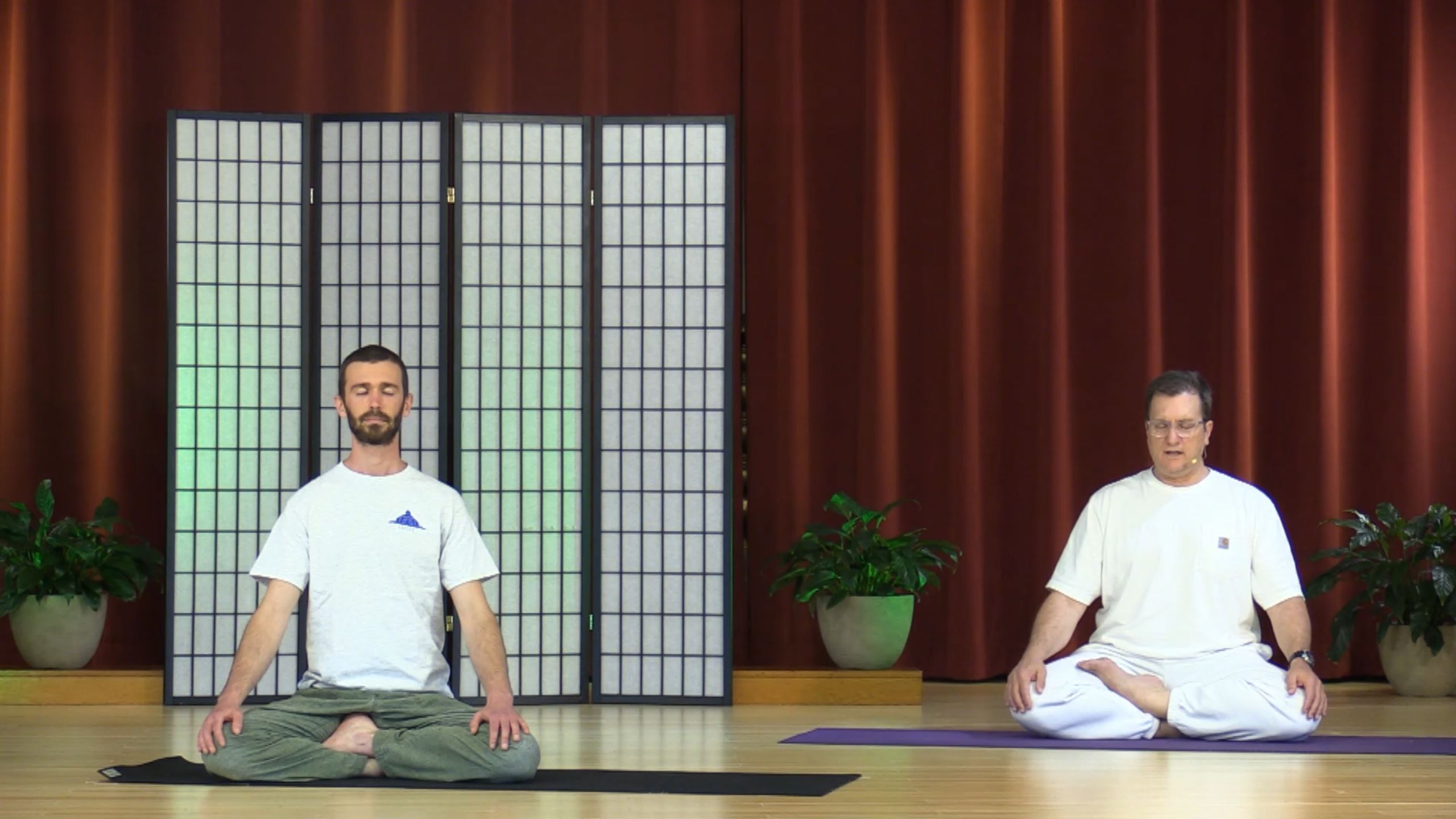 Hatha Yoga - Level 2 with Krishna Howeth - April 16, 2020