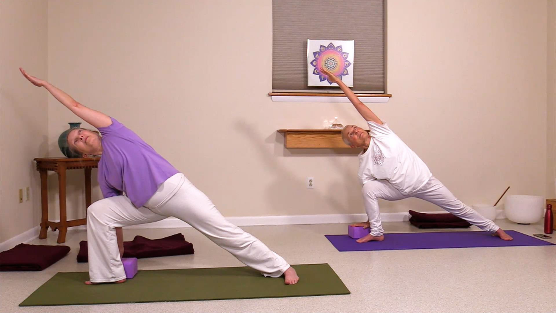 Hatha Yoga - Level 2 with Satya Greenstone - November 17, 2020