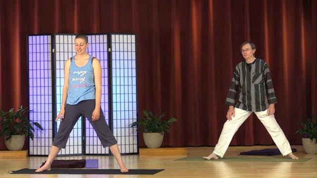 Hatha Yoga - Level 1 with Mitra Somer...