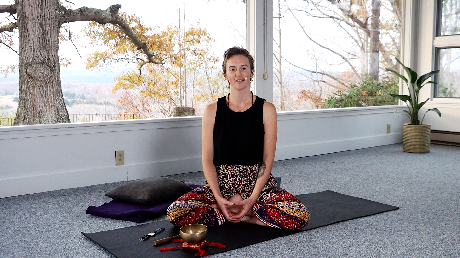 Hatha Yoga Tips - Preparation for Meditation with Alex Ishwari -12 min