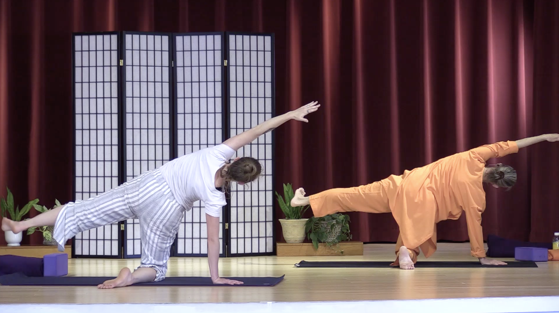 Hatha Yoga - Level 2-3 with Saci Murphy - April 27, 2020