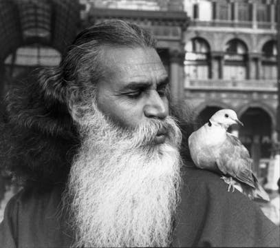 What is Ahimsa & Is this World a Hall...