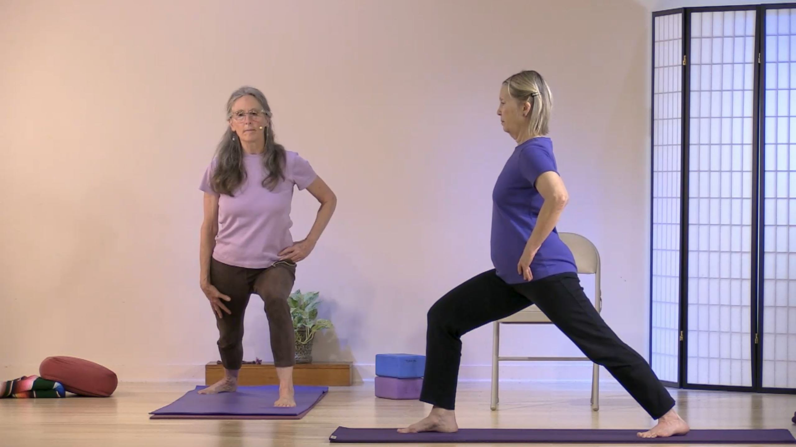 Joint Freeing Series with Dhivya Berthoud - June 13, 2020