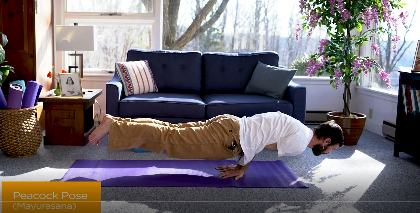 Hatha Yoga Tips: Peacock Pose with Zac Parker