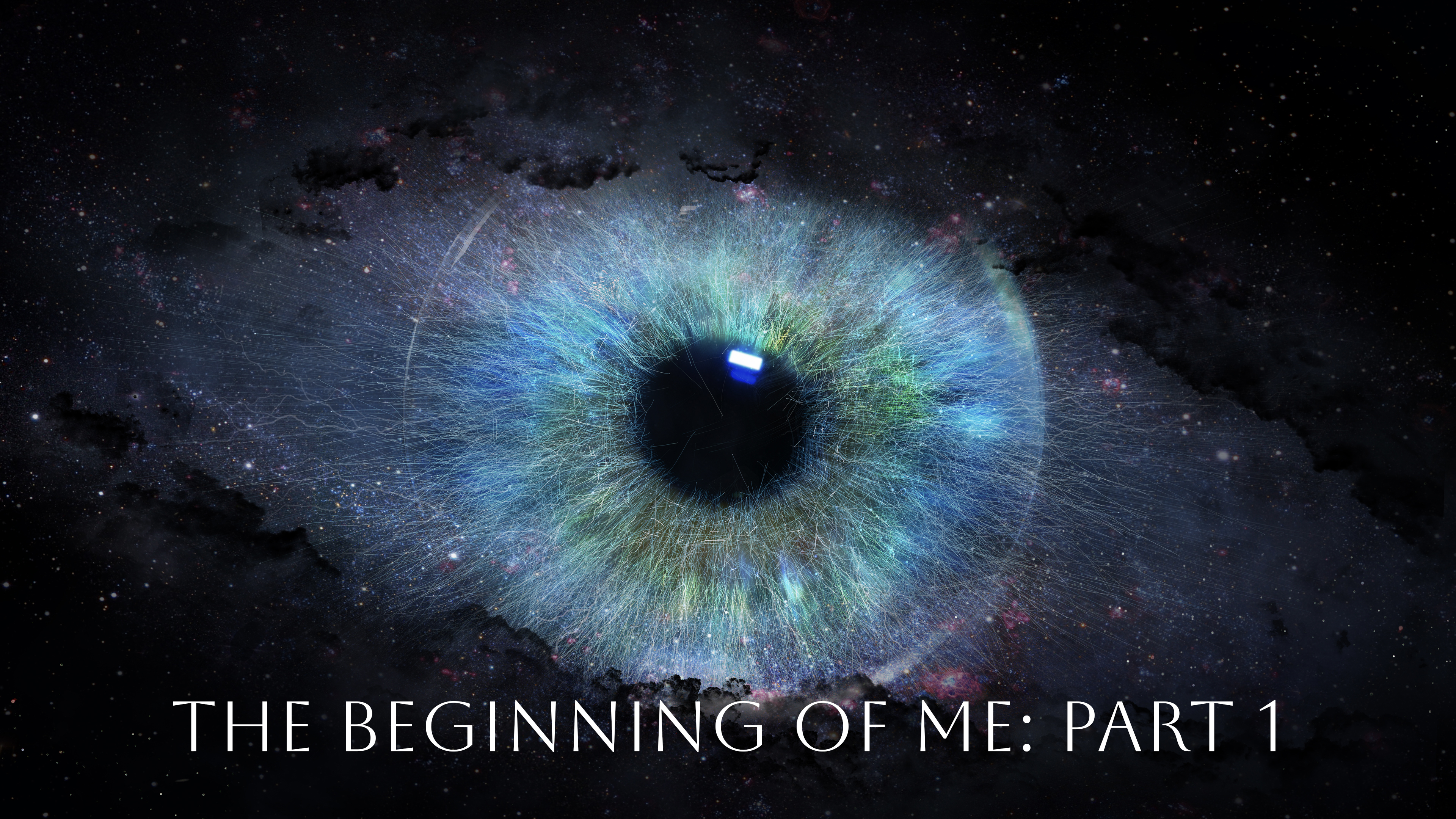 The Beginning Of Me - Part 1: A Talk by Nalanie Chellaram