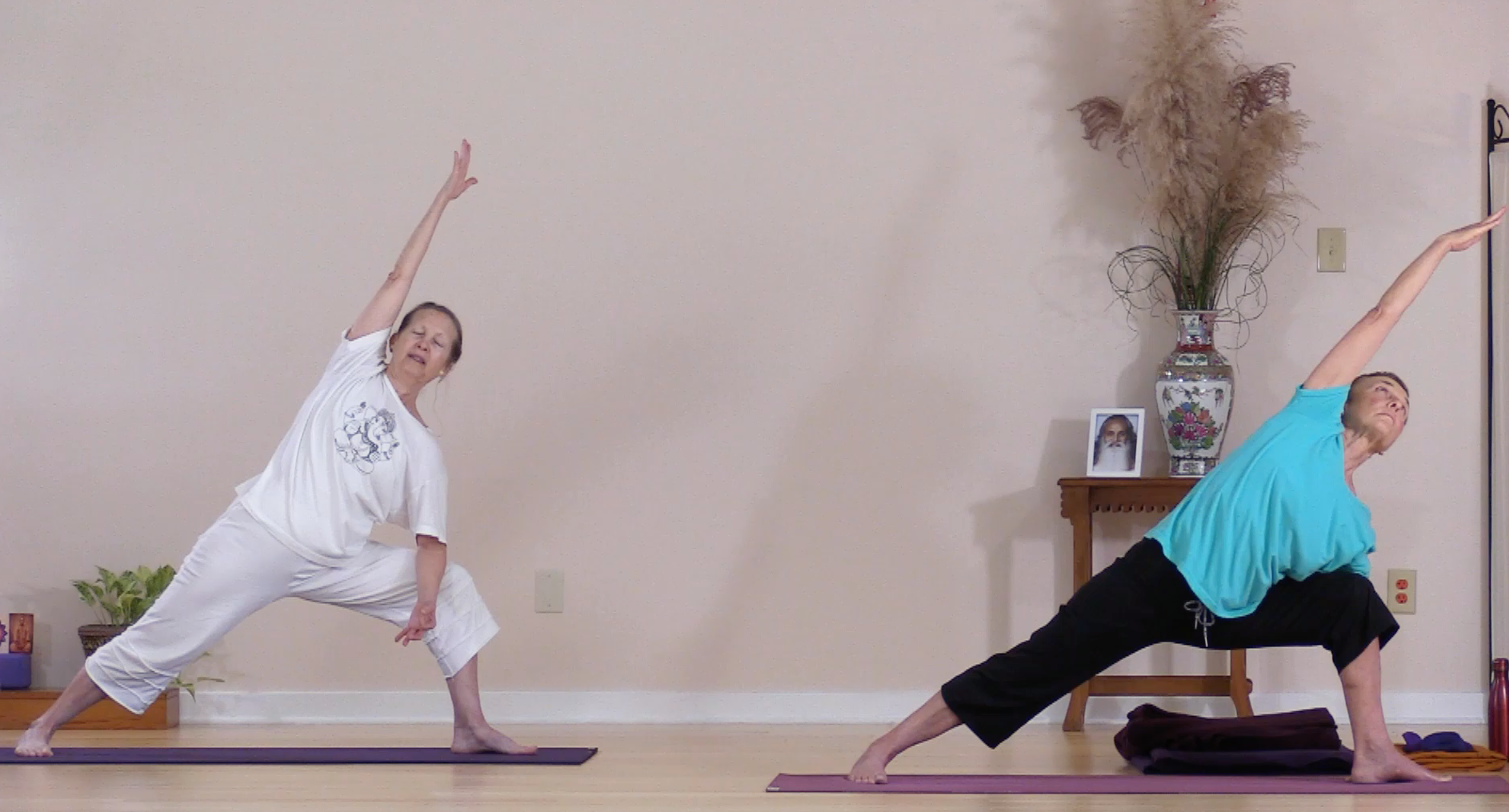 Hatha Yoga - Level 2 with Sridevi Jones - October 8, 2020