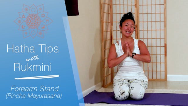 Hatha Yoga Tips: Forearm Stand with R...