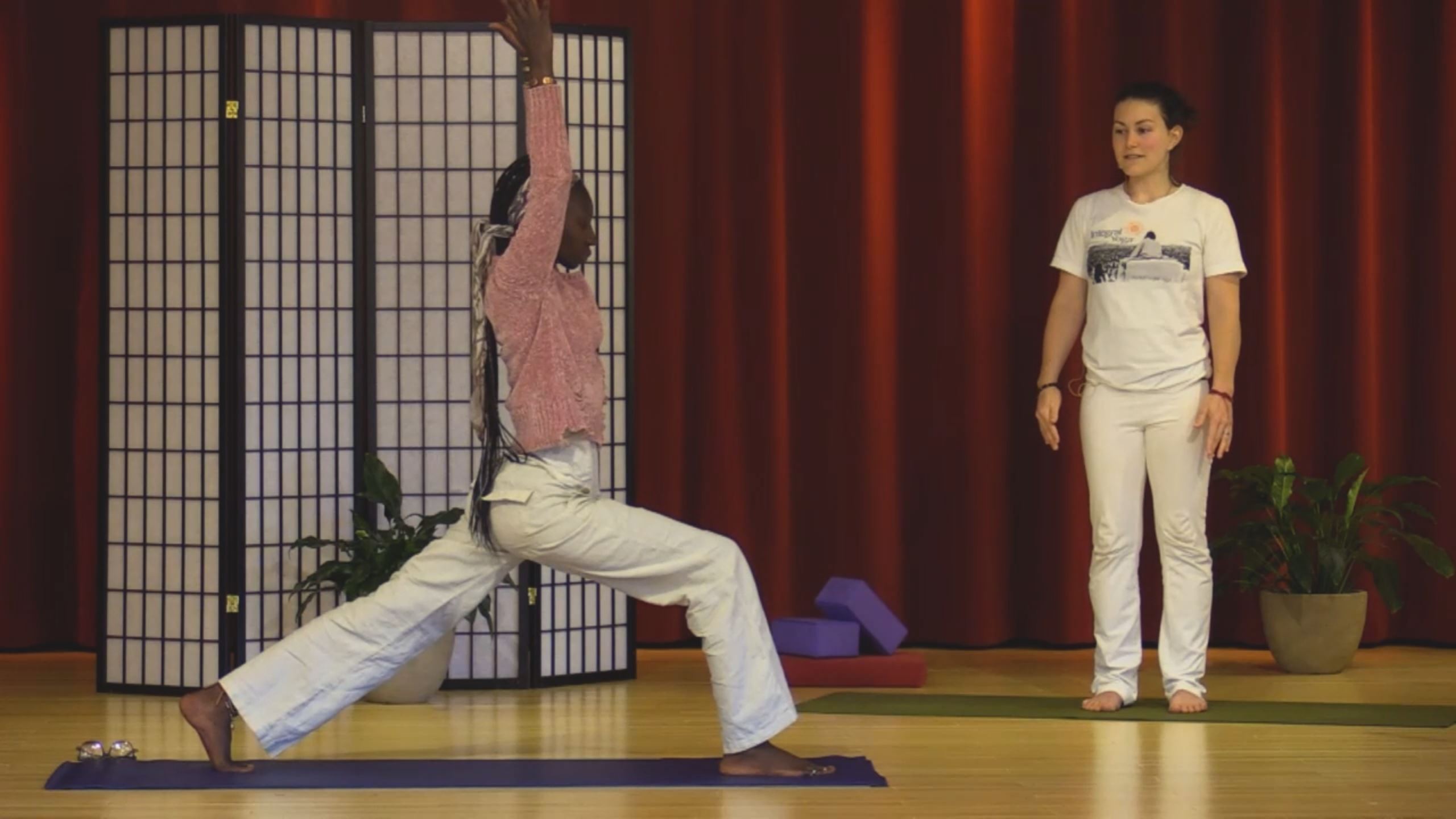 Hatha Yoga - Mixed Level with Anandi Williams