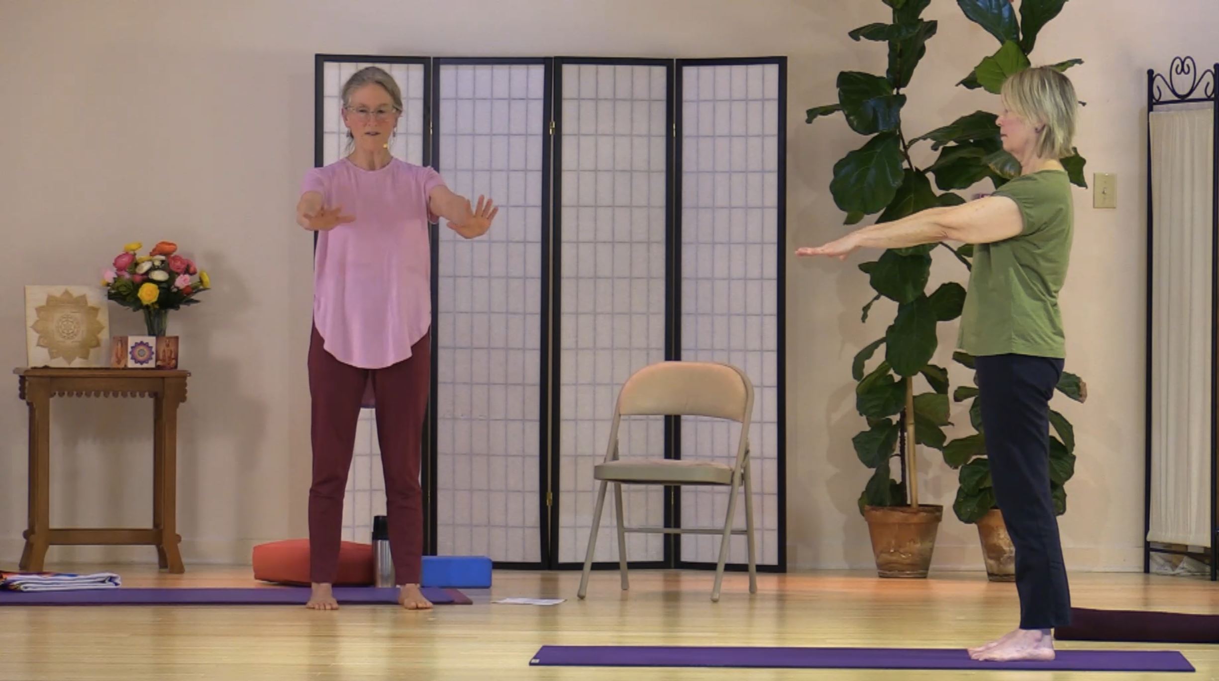 Joint Freeing Series with Dhivya Berthoud - May 2, 2020