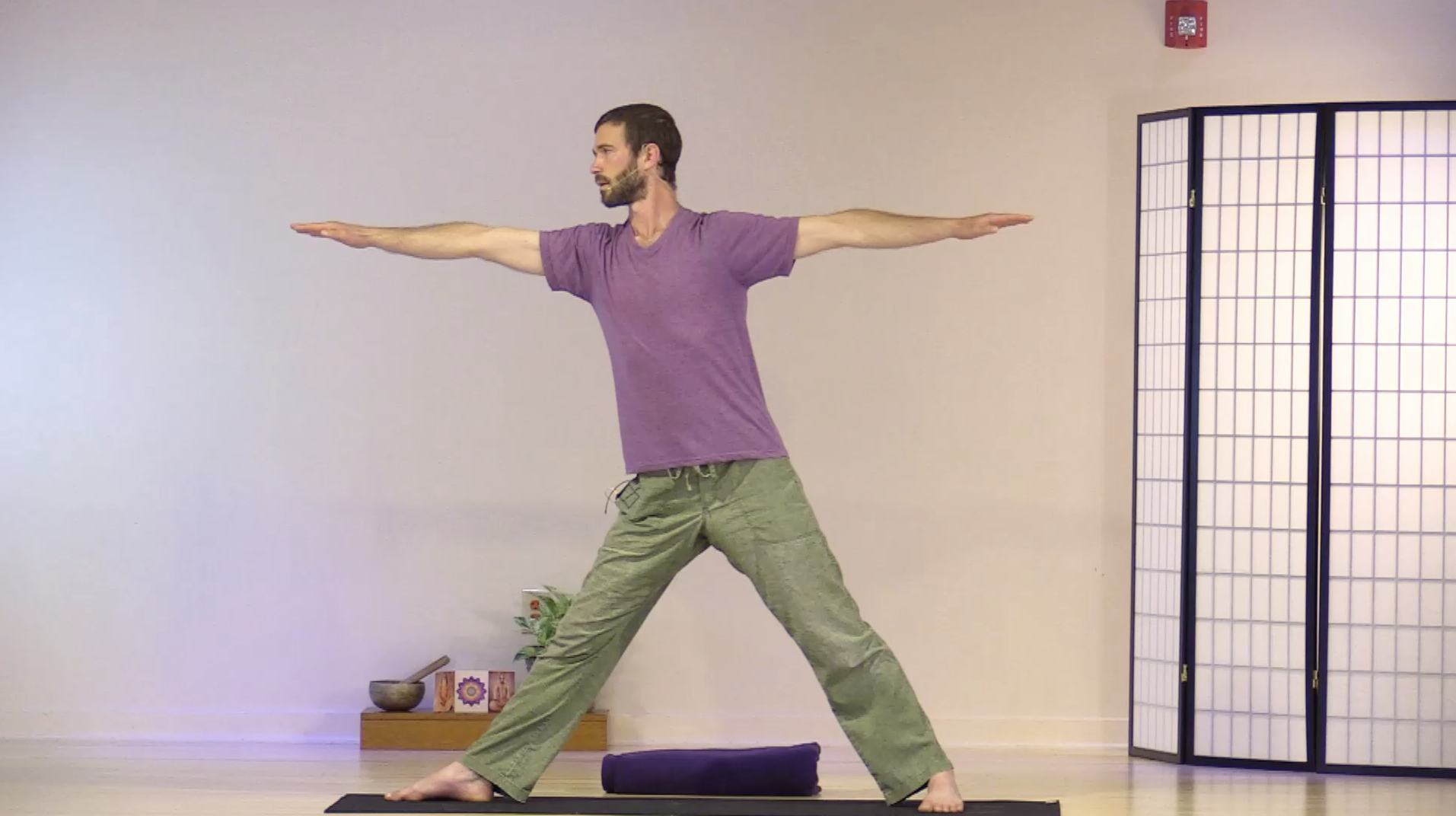 Hatha Yoga - Mixed Level and Extended Yoga Nidra with Zac Parker - May 26, 2020
