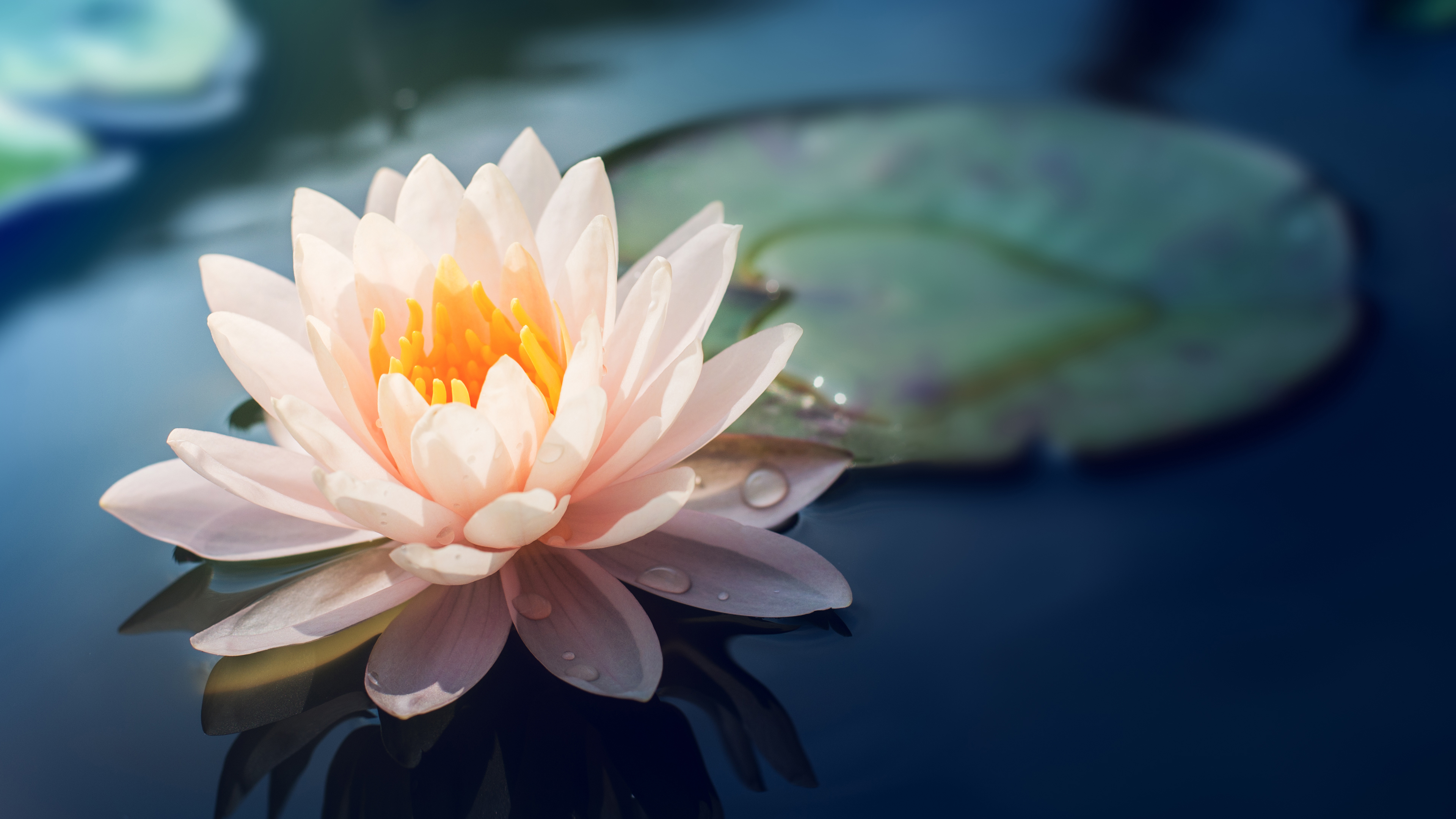 Why Simplicity Brings Inner Peace: A Conversation with Les Roberts