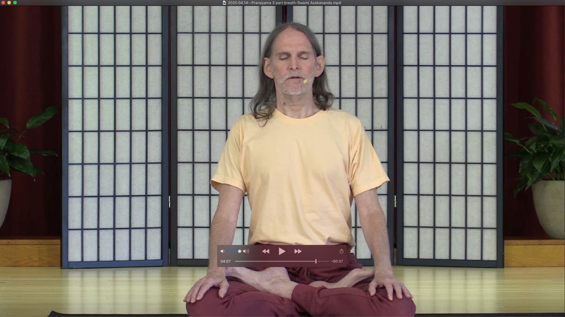 Dirgha Svasam: The 3-part breath with Swami Asokananda