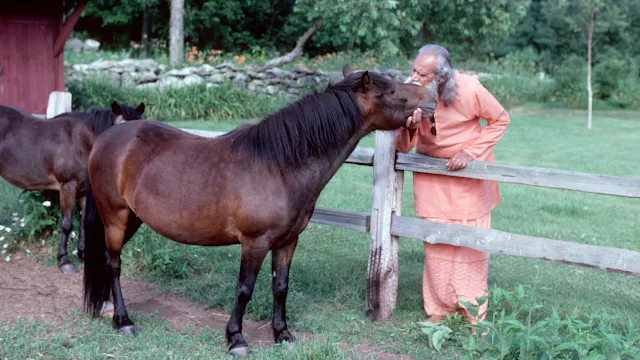 Offering Help: Satsang with Swami Sat...