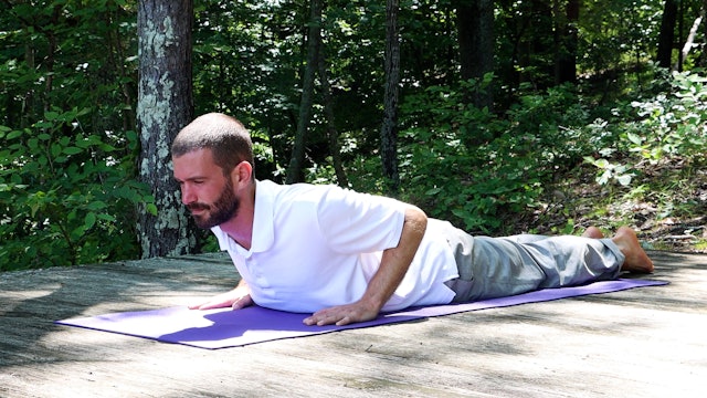 Hatha Yoga Tips - Cobra Pose with Zac Parker