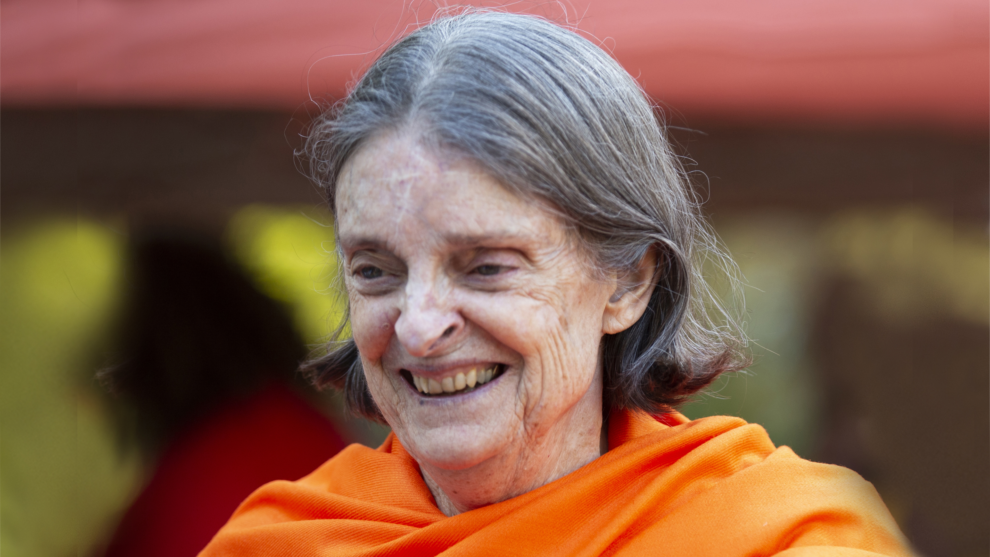 Swami Hamsananda, Senior Sannyasi
