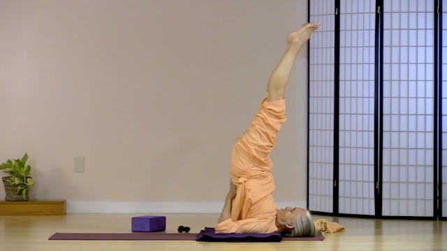 Hatha Yoga - Level 1 with Saci Murphy...