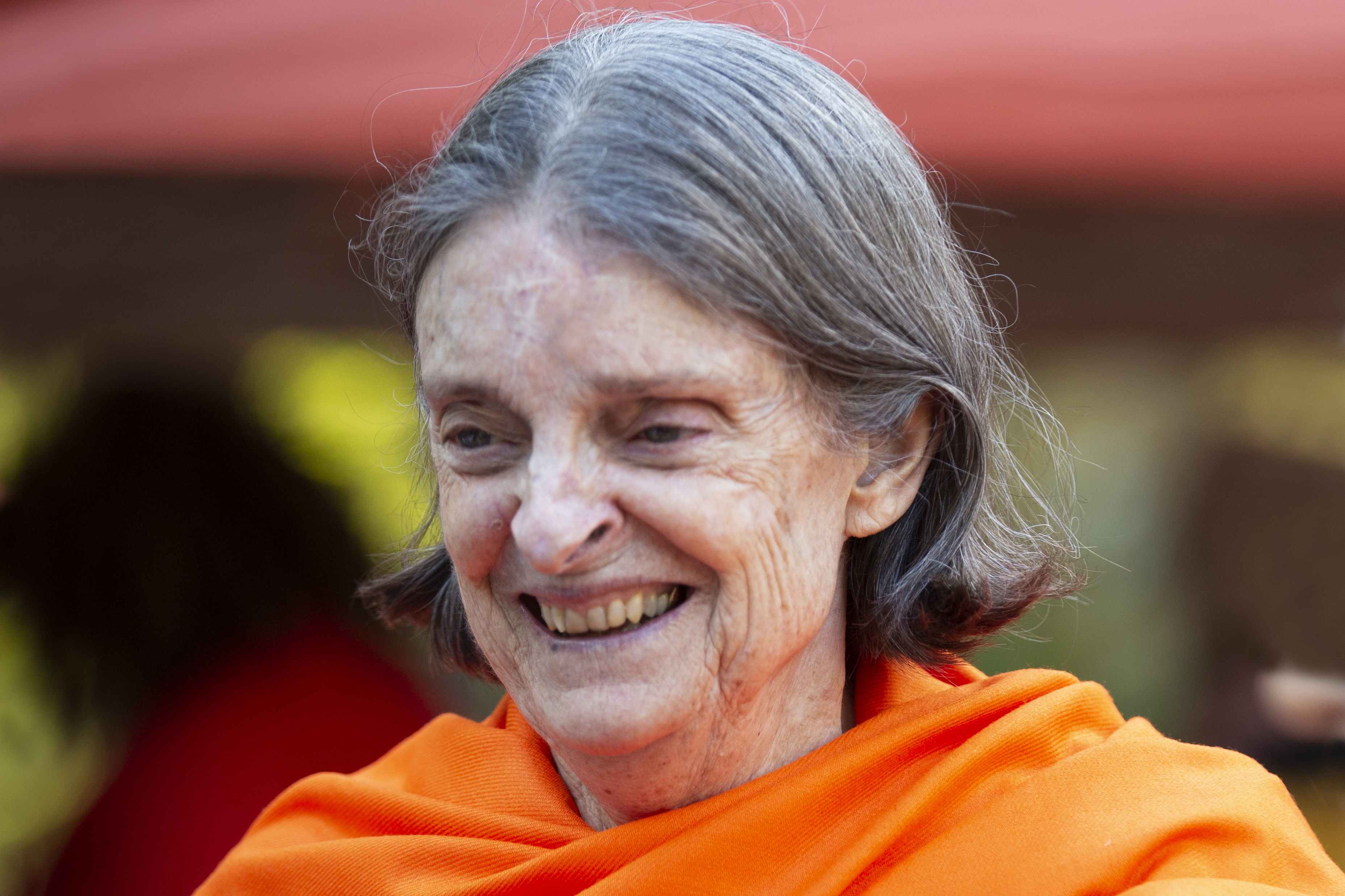 Sage Insights with Swami Hamsananda