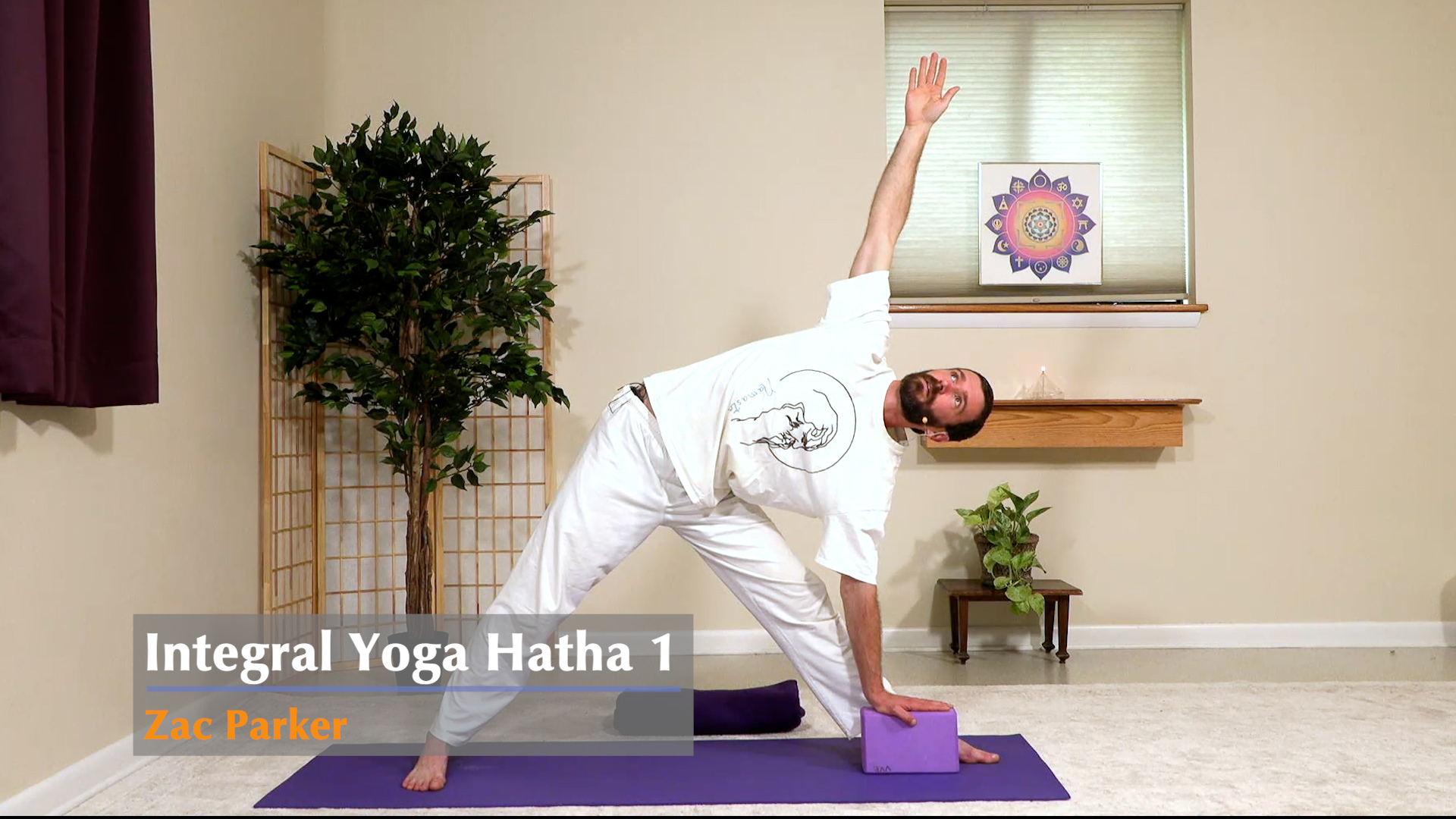What is Integral Yoga? | Integrating Body, Mind, and Spirit