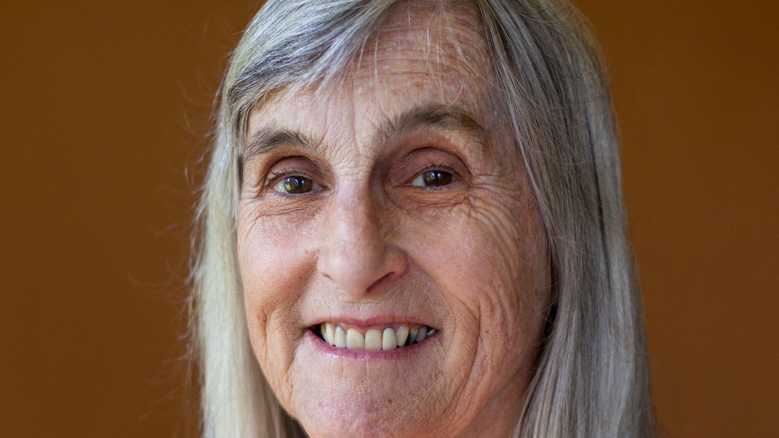 Swami Jyotirmayananda, Senior Sannyasi