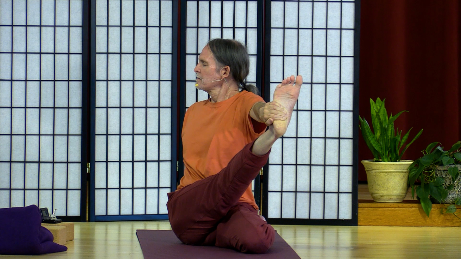 Hatha Yoga - Level 2 with Swami Asokananda - April 29, 2020