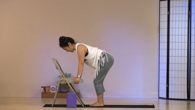 Chair Yoga with Rukmini Ando - Class 5