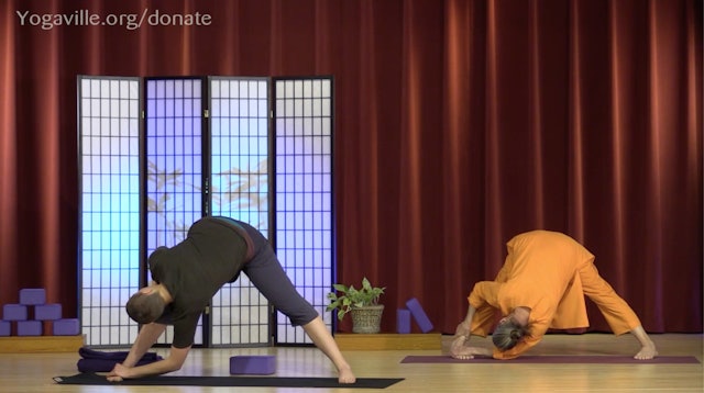 Hatha Yoga - Mixed Level with Saci Murphy - April 23, 2020