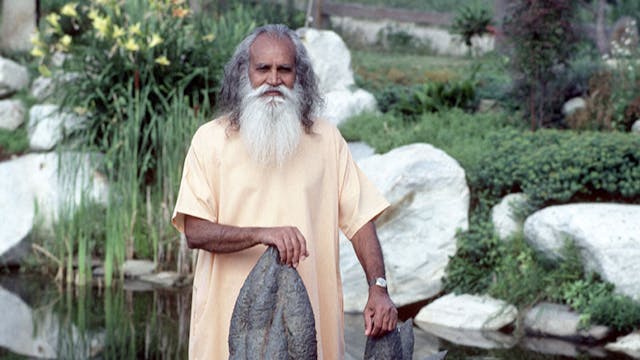 Feeling Whole & Purifying the Heart w...