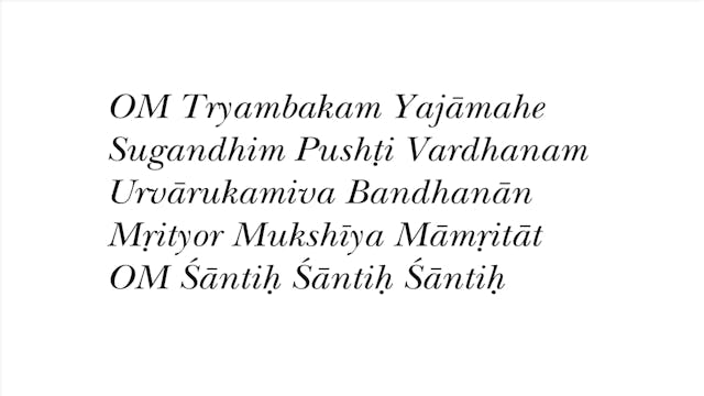 Morning Meditation with Zac Parker (a...