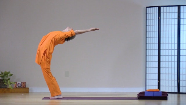 Hatha Yoga - Subtle Awareness, part 1, with Alex Ishwari - Level 1