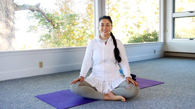 Hatha Yoga - Subtle Awareness, part 1, with Alex Ishwari - Level 1 -  Integral Yoga TV