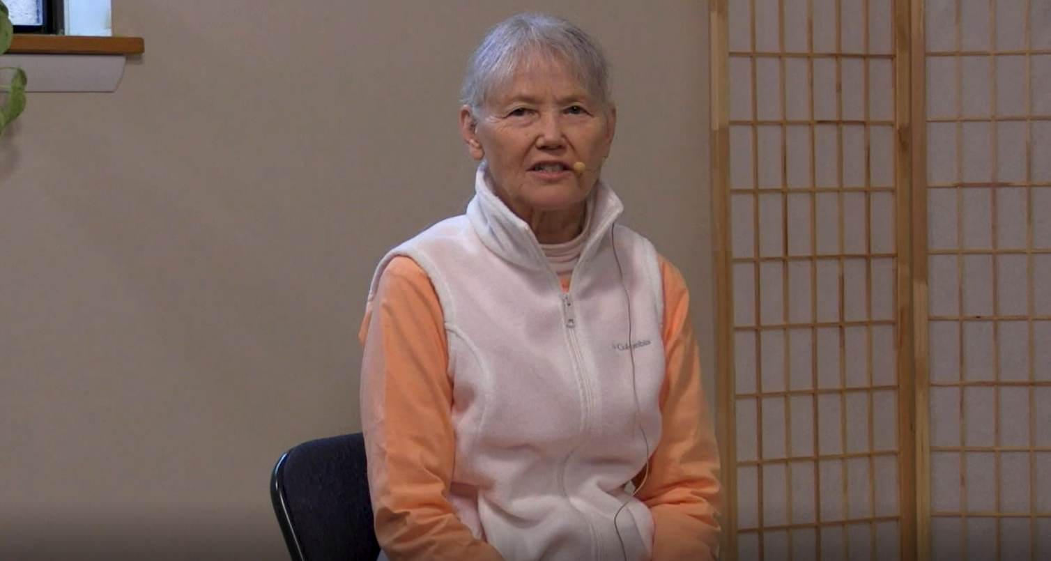 Foundations of IY Therapy - Emotional Regulation with Swami Vidyananda