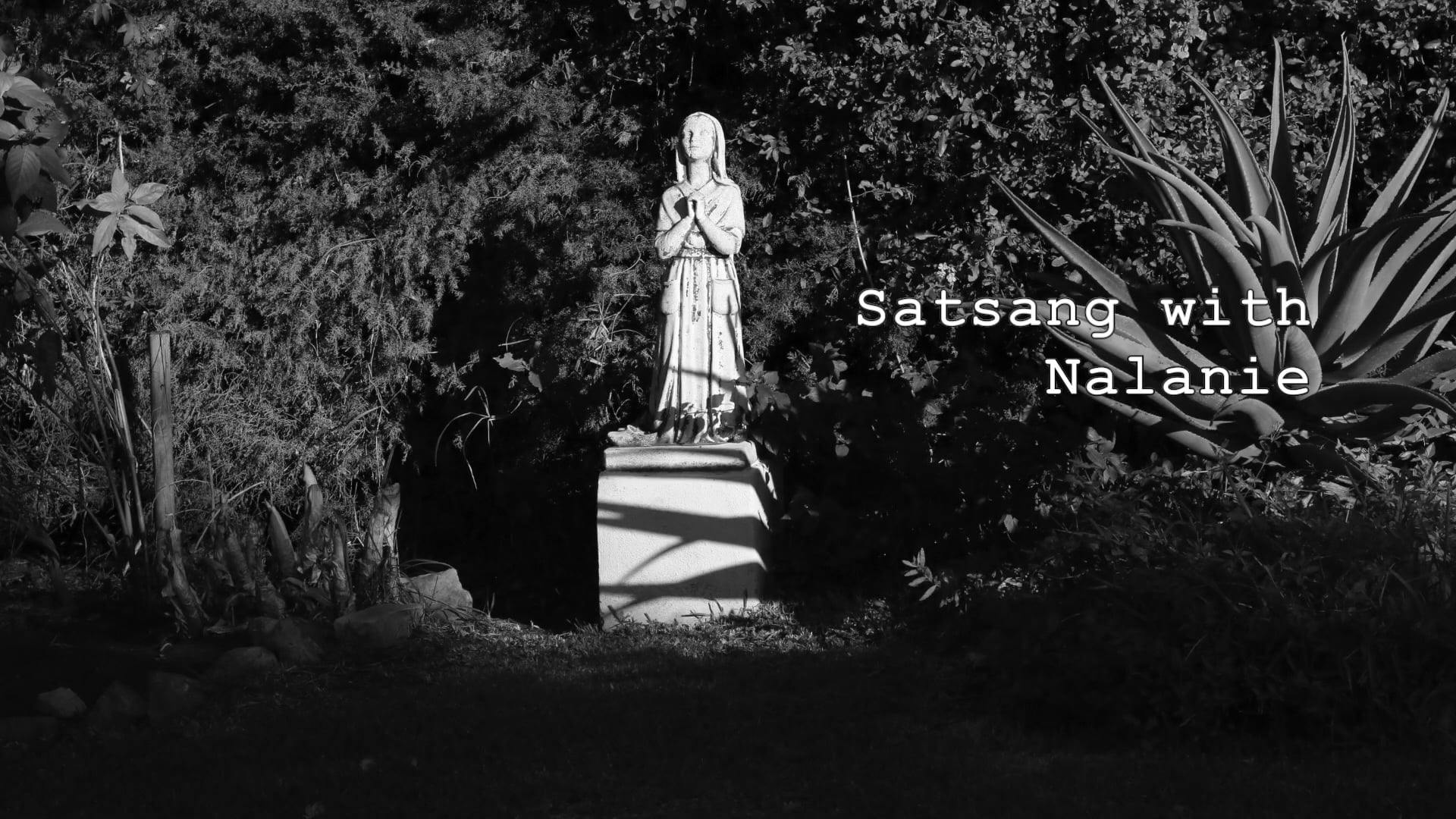 Forgiveness - Pt 3: A Talk by Nalanie Chellaram