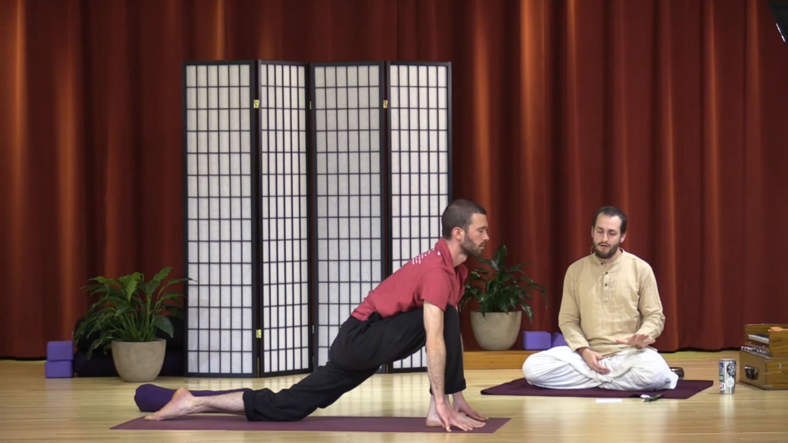 Hatha Yoga - Mixed Level with Narada Williams