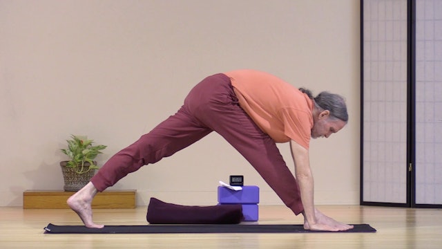 Hatha Yoga - Level 2 with Swami Asokananda - May 6, 2020