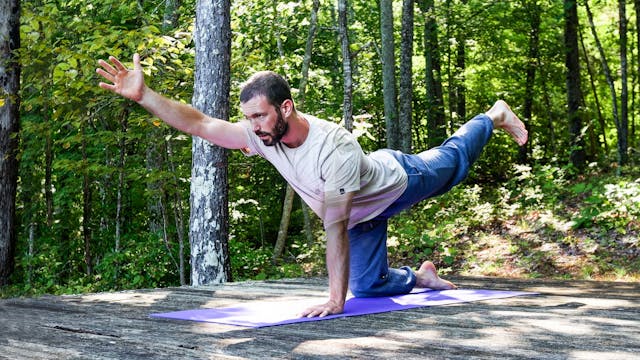 Morning Wake Up Yoga with Zac: Mixed ...