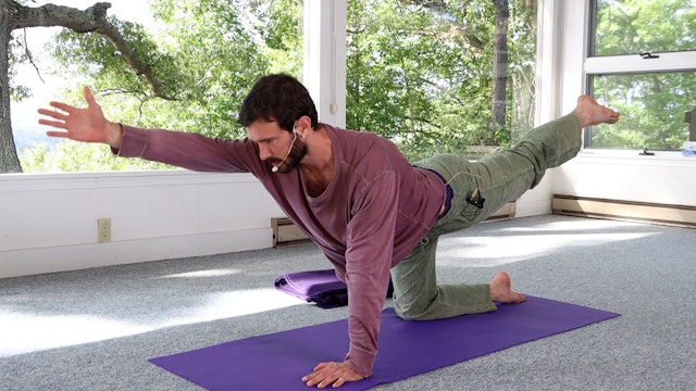 Hatha Yoga - Hands & Knees with Zac Parker - 16 min