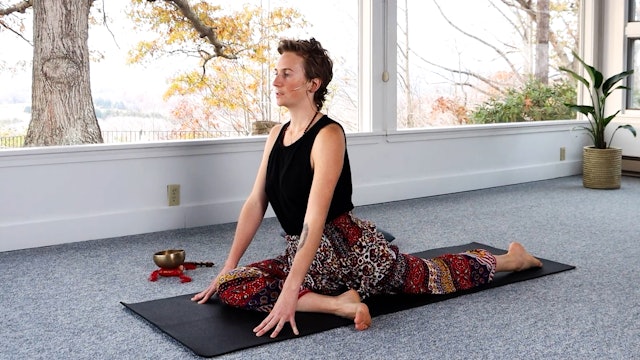 Hatha Yoga - Level 2 - Asanas to Prepare for Meditation with Alex Ishwari