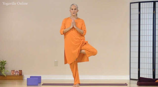 Hatha Yoga - Level 1 with Saci Murphy - August 20, 2020