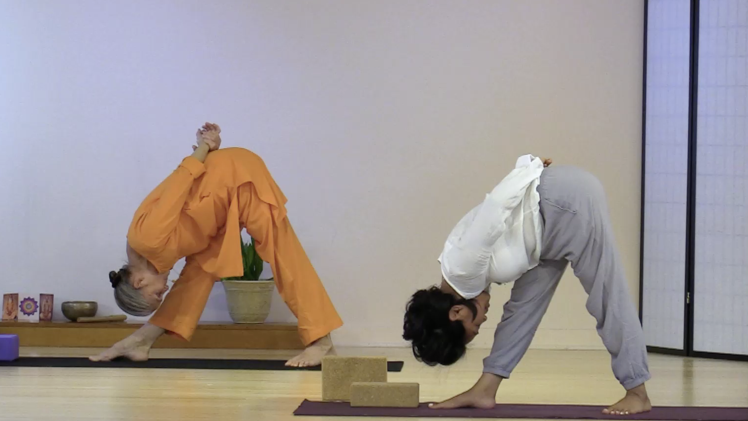 Hatha Yoga - Level 2-3 with Saci Murphy - May 14, 2020
