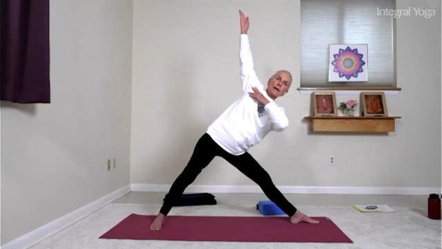 Yoga for Strong Bones with Satya Greenstone: Vitality (class 3 of 3)