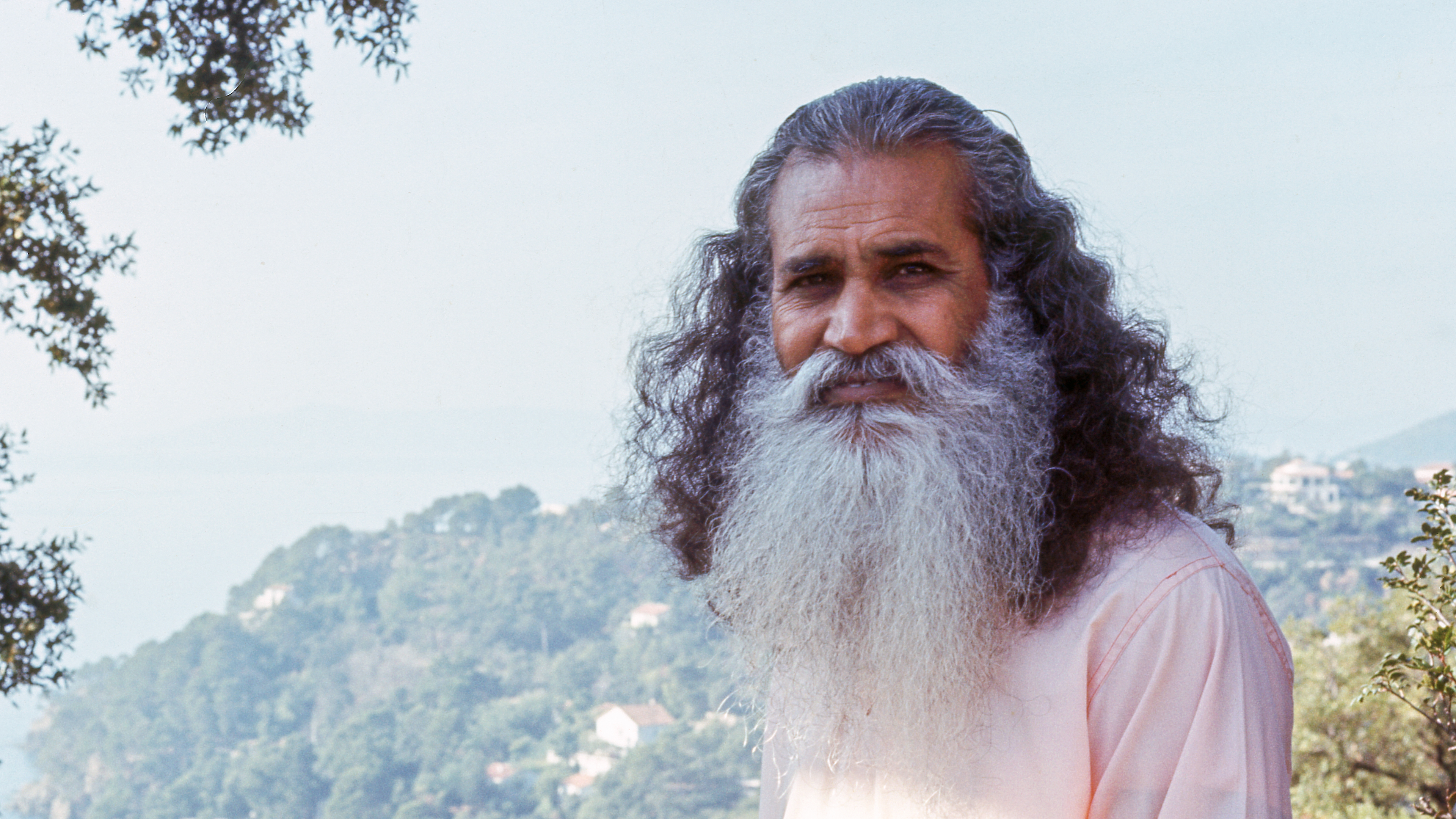 Training the Mind, Meditation & Practice: Satsang with Swami Satchidananda