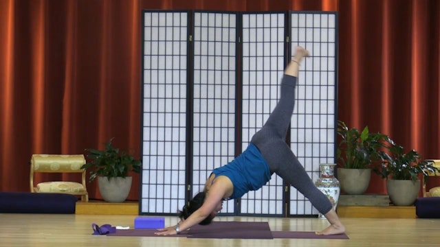 Hatha Yoga - Level 3 with Rukmini Ando - Class 1