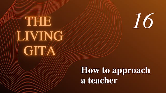 Part 16: How to Approach a Teacher