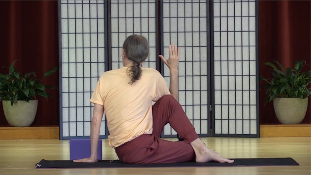 Hatha Yoga - The Sun Salutation Using Straps with Alex Ishwari - 13 min. -  Level 1 - Integral Yoga TV