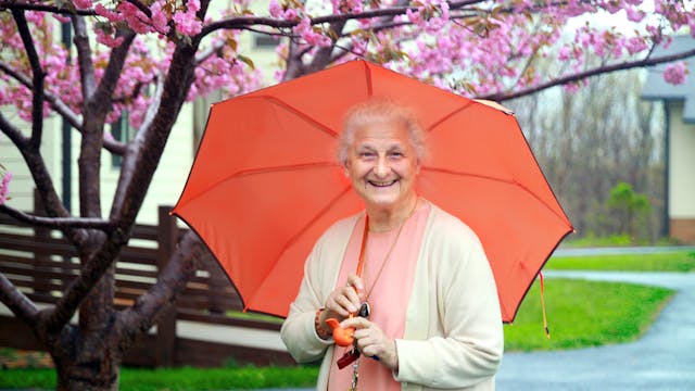 Wisdom and Light Series III: Session 2