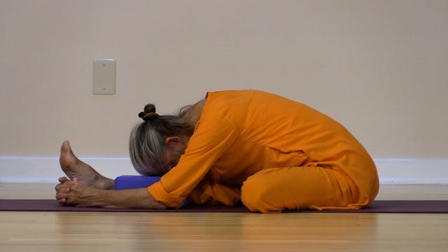 Hatha Yoga - Level 2-3 with Saci Murp...